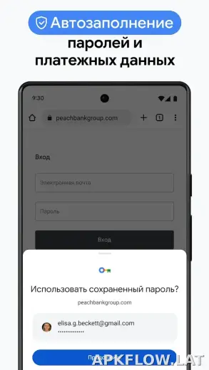 Google Chrome скриншот 6